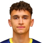 S. Mitrovic
