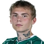 I. Hansen-Aaroen