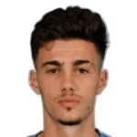 N. Mituljikic